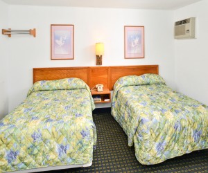 2 Double Beds can accommodate up to 4