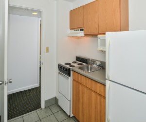 Kitchenette with stovetop and fridge